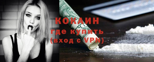 амф Верхний Тагил