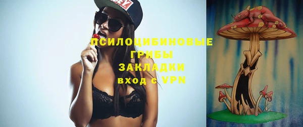 винт Бородино