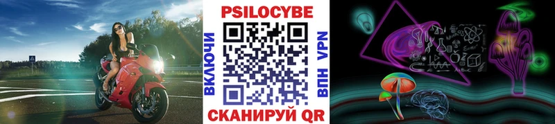 закладка  Певек  Галлюциногенные грибы Psilocybe 